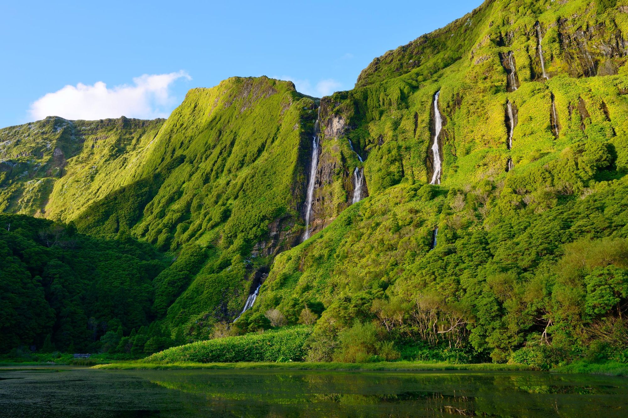 The Poço da Alagoinha waterfall on the island of Flores in the Azores. Photo: Getty