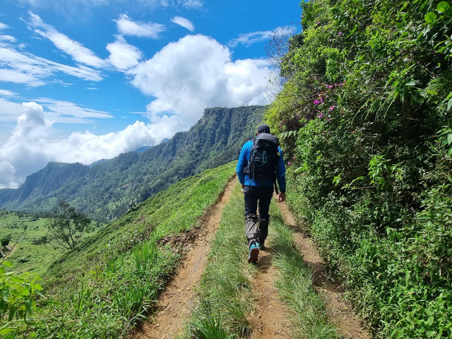 Hiking the Pekoe Trail in Horton Plains National Park. Photo: Getty.