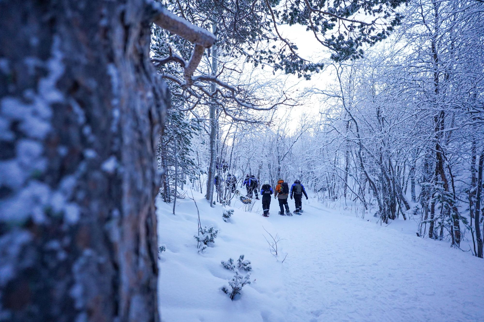 Snowshoeing in Finnmarksvidda. Photo: Glod Explorer.