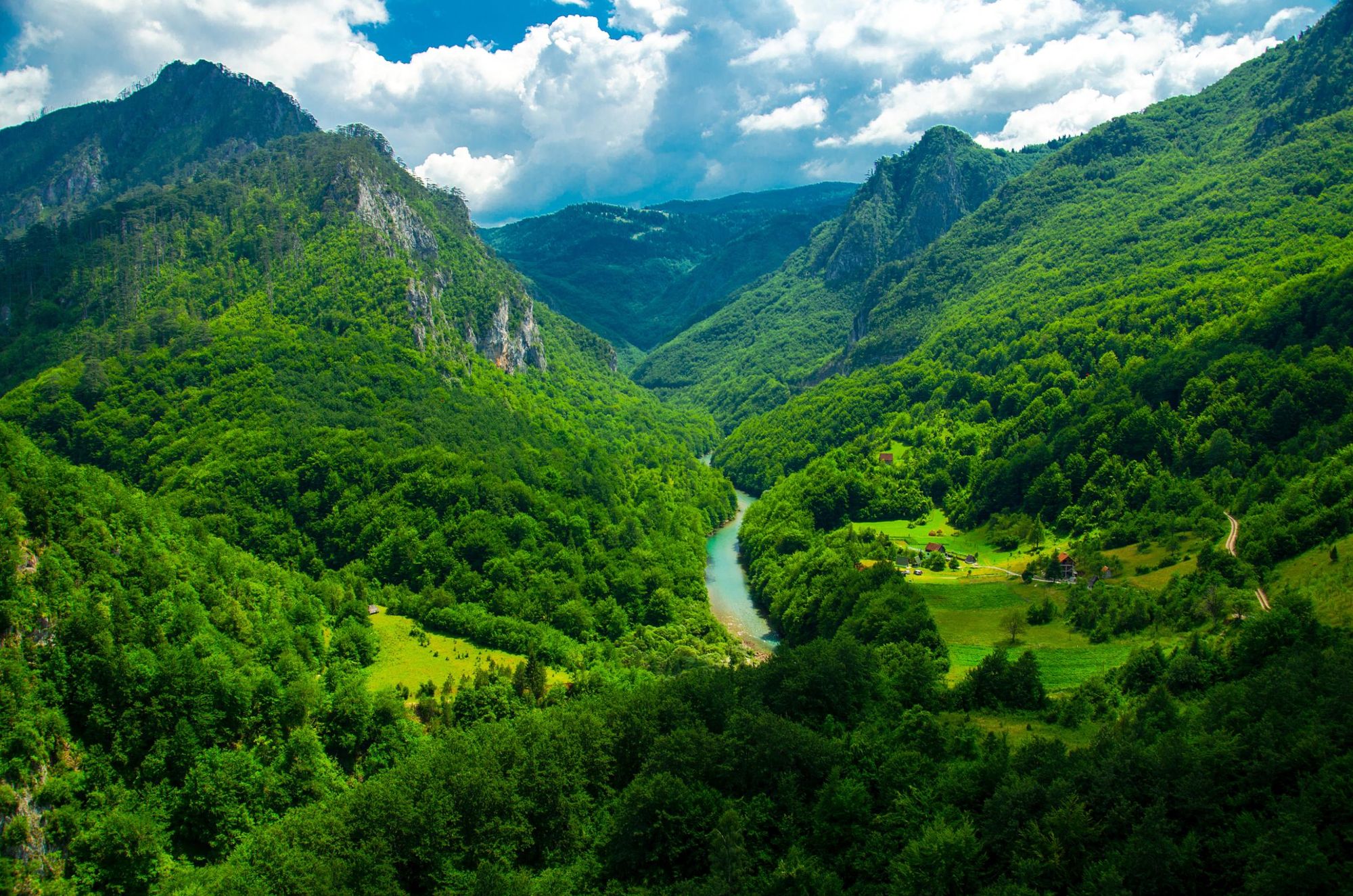 The Tara River Canyon, running through the Durmitor National Park. Photo: Getty