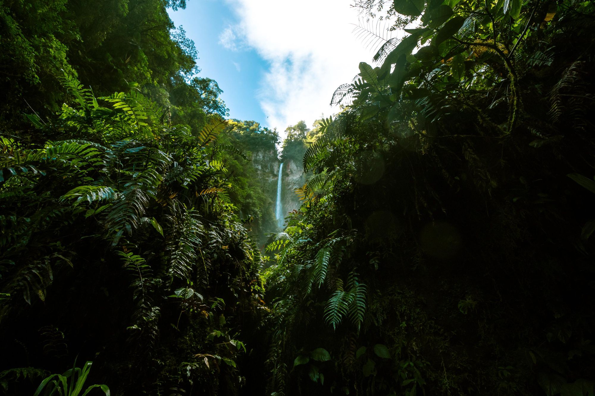 The Camino de Costa Rica takes you through jungle, over dry mountains, and from one coast to another. Photo: Getty