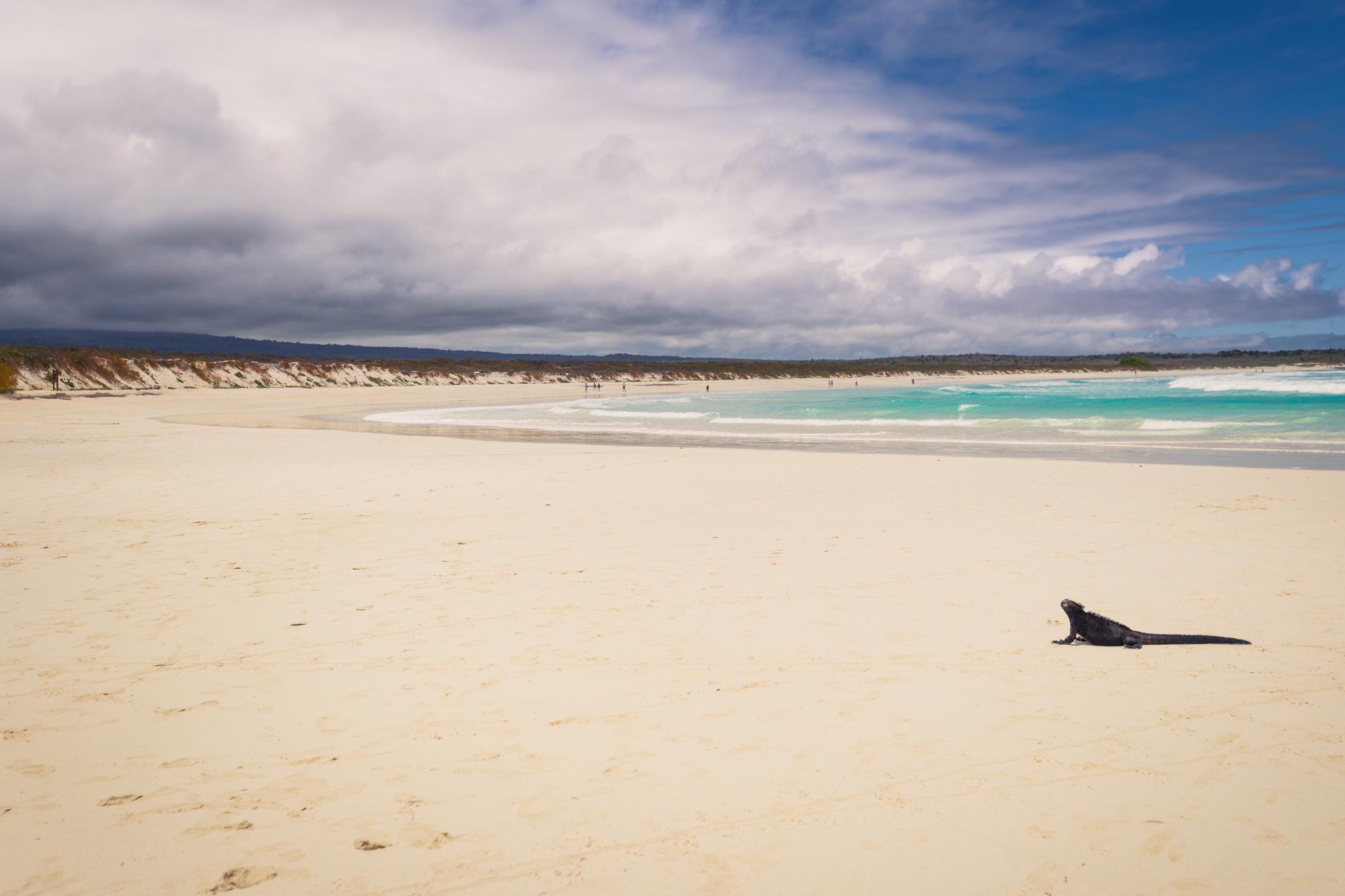 Tortuga Bay, Santa Cruz Island. Photo: Getty.