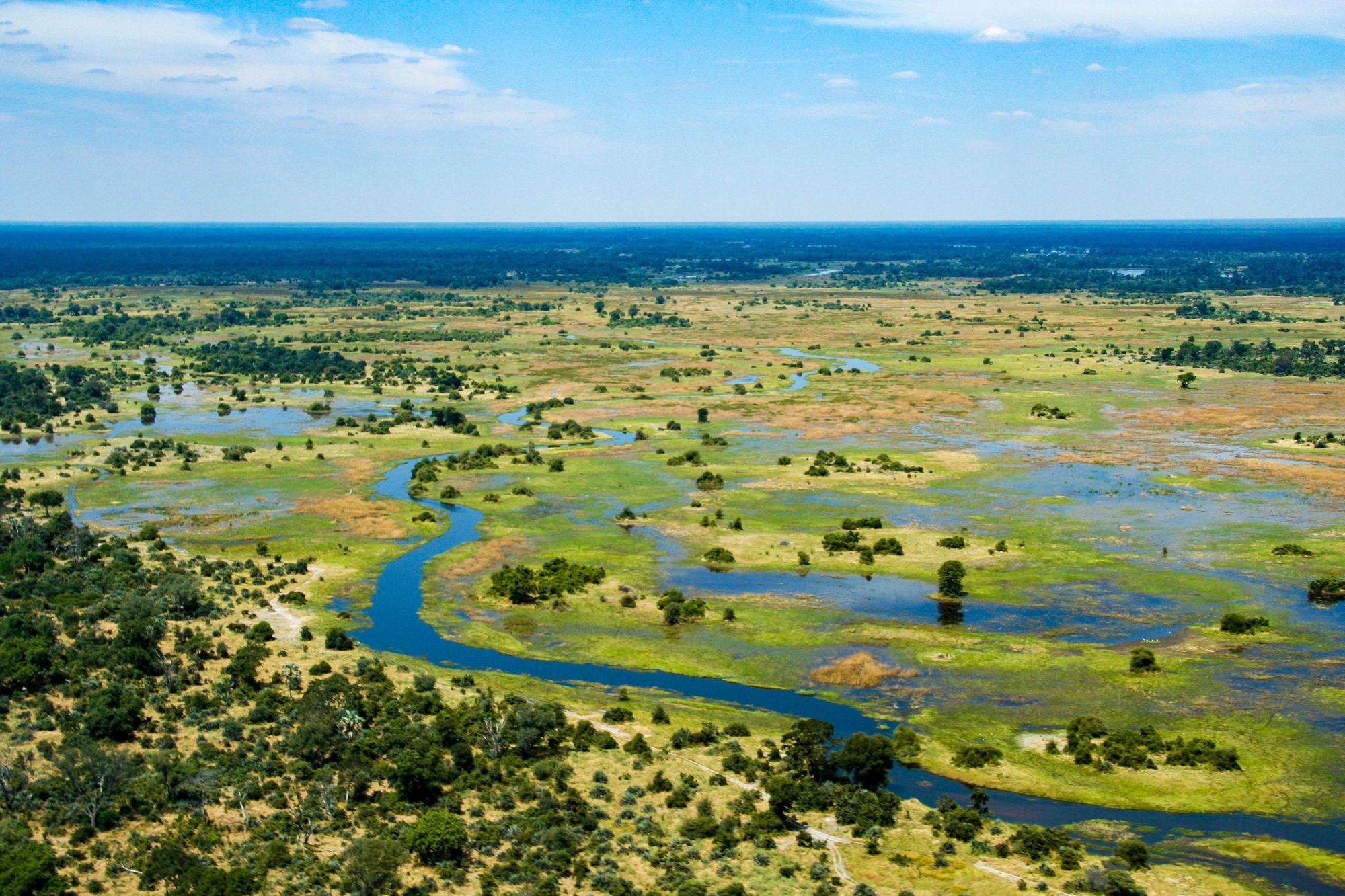 The sprawling Okavango Delta, home to an absolute plethora of wildlife. Photo: Getty