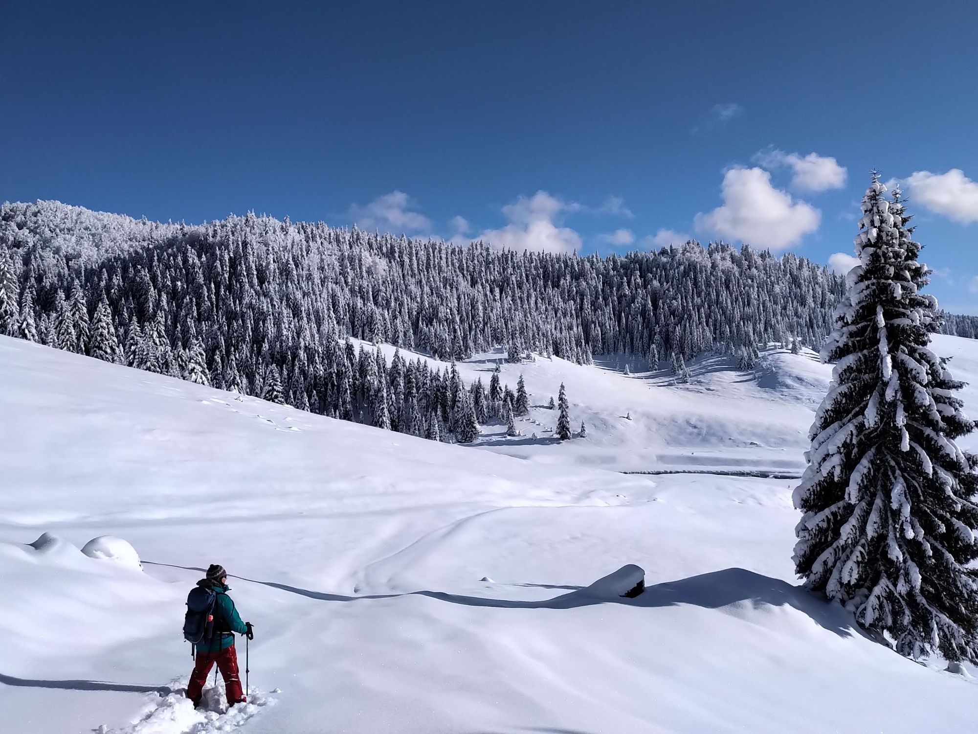 Snowshoeing in the Apuseni Mountains. Photo: Apuseni Experience.