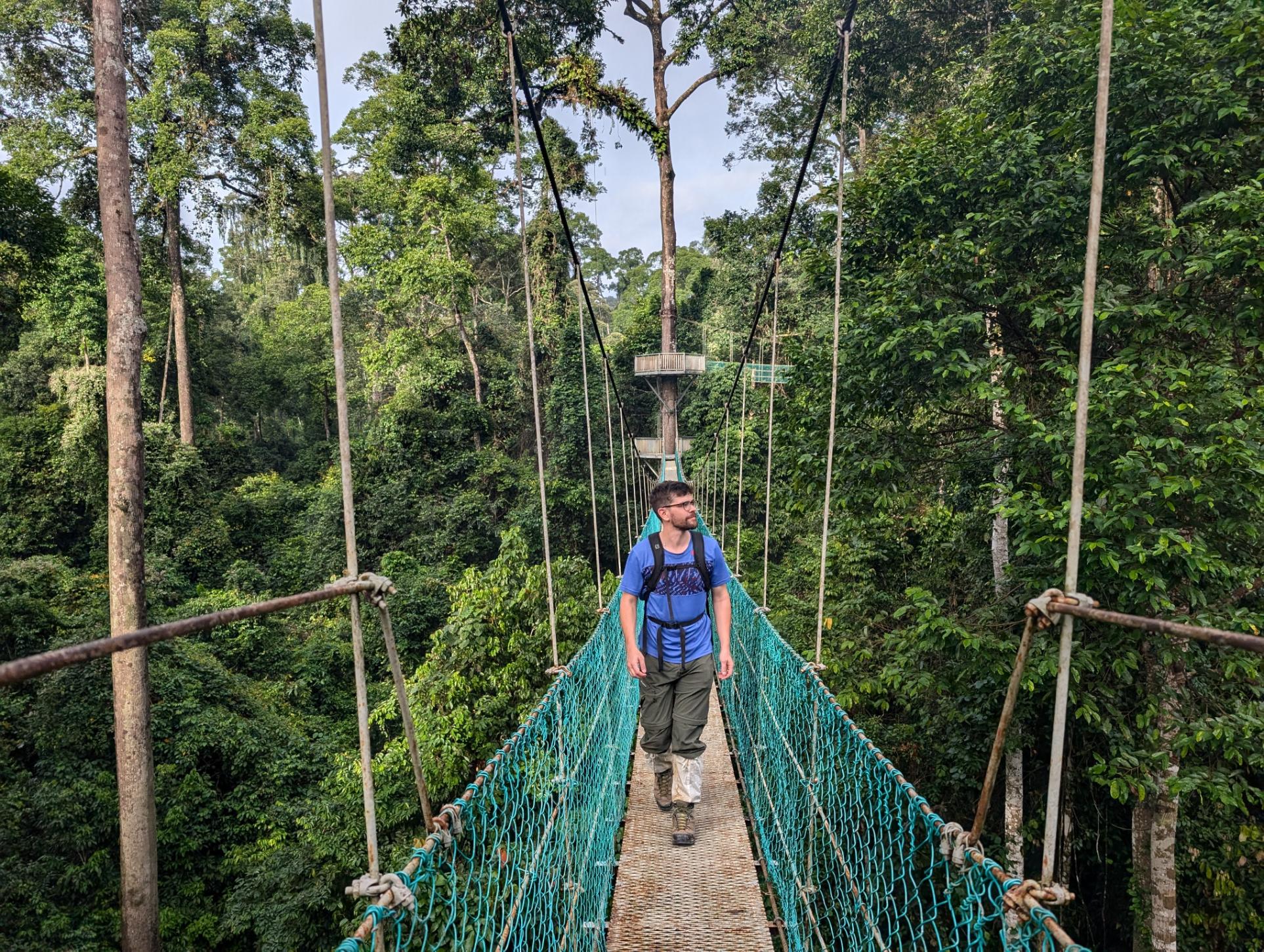 The author rocking a pair of leech socks. It's tough to pick them up on a canopy walkway. Photo: Stuart Kenny