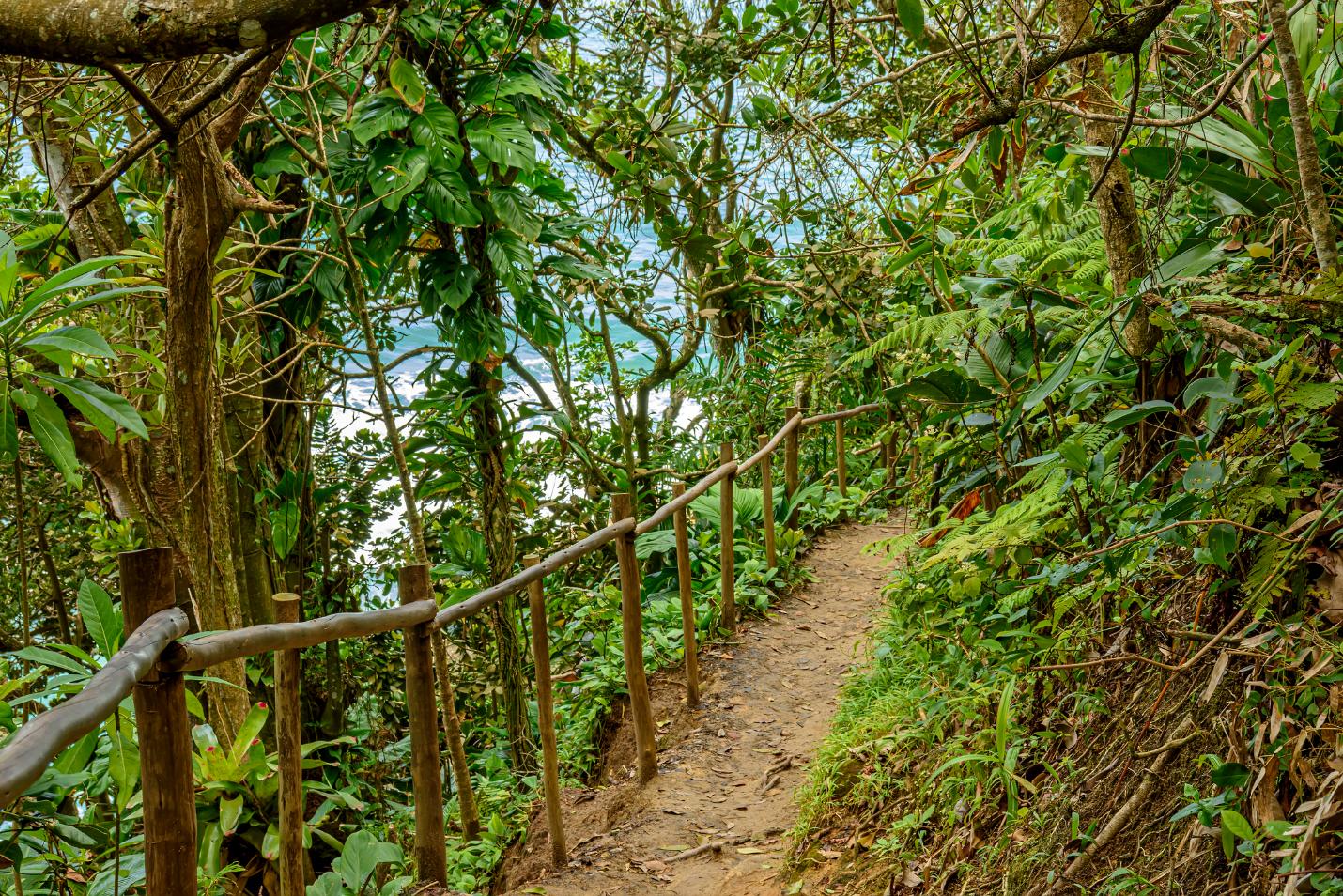 A delightfully uncrowded trail in Ilha Grande. Photo: Getty.