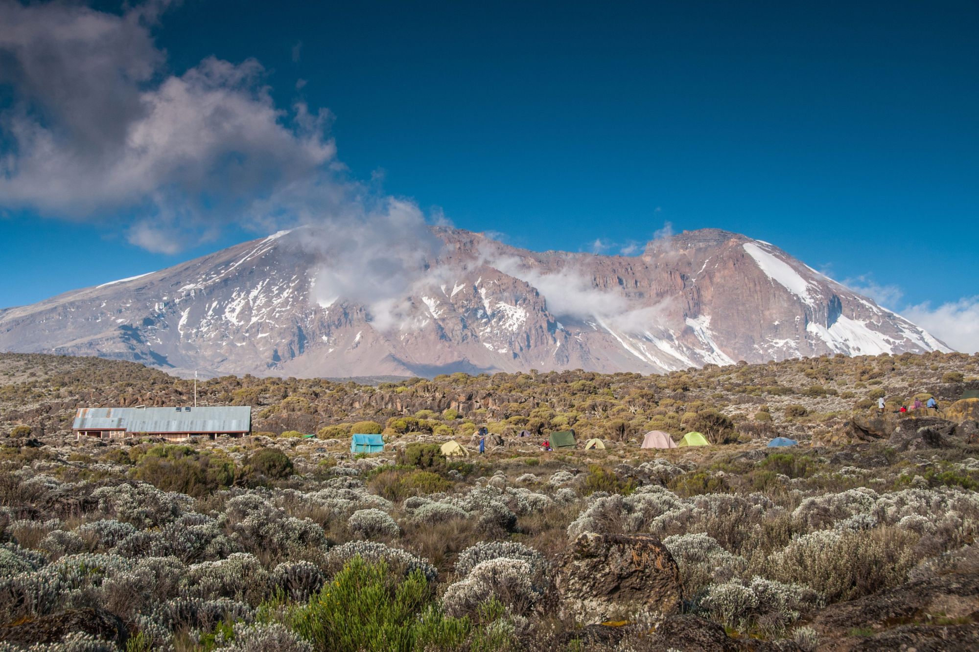 Looking up at Kilimanjaro from Shira campsite. Photo: Getty.