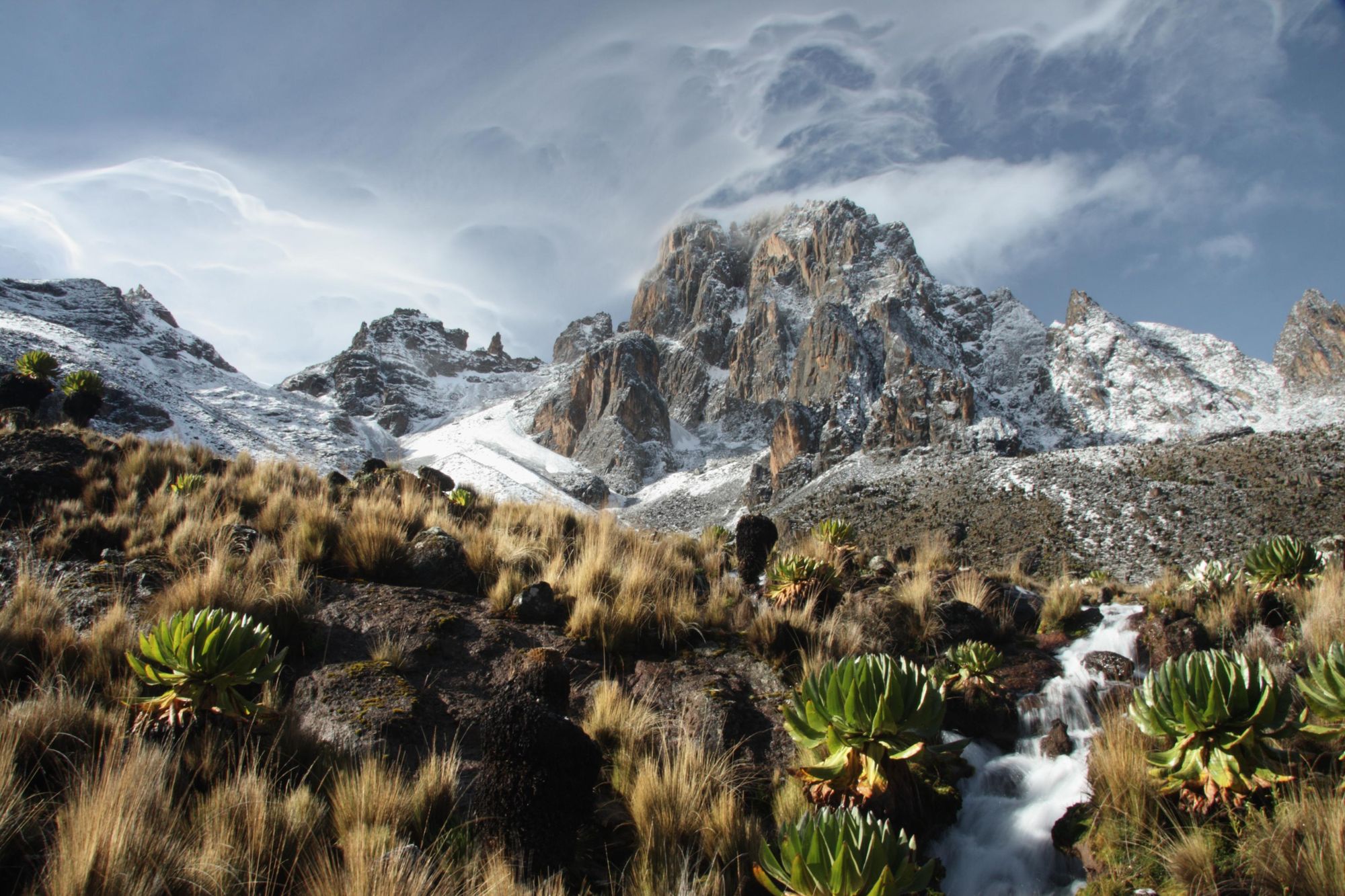 A typical scene of mixed vegetation on the slopes of Mount Kenya. Photo: Getty