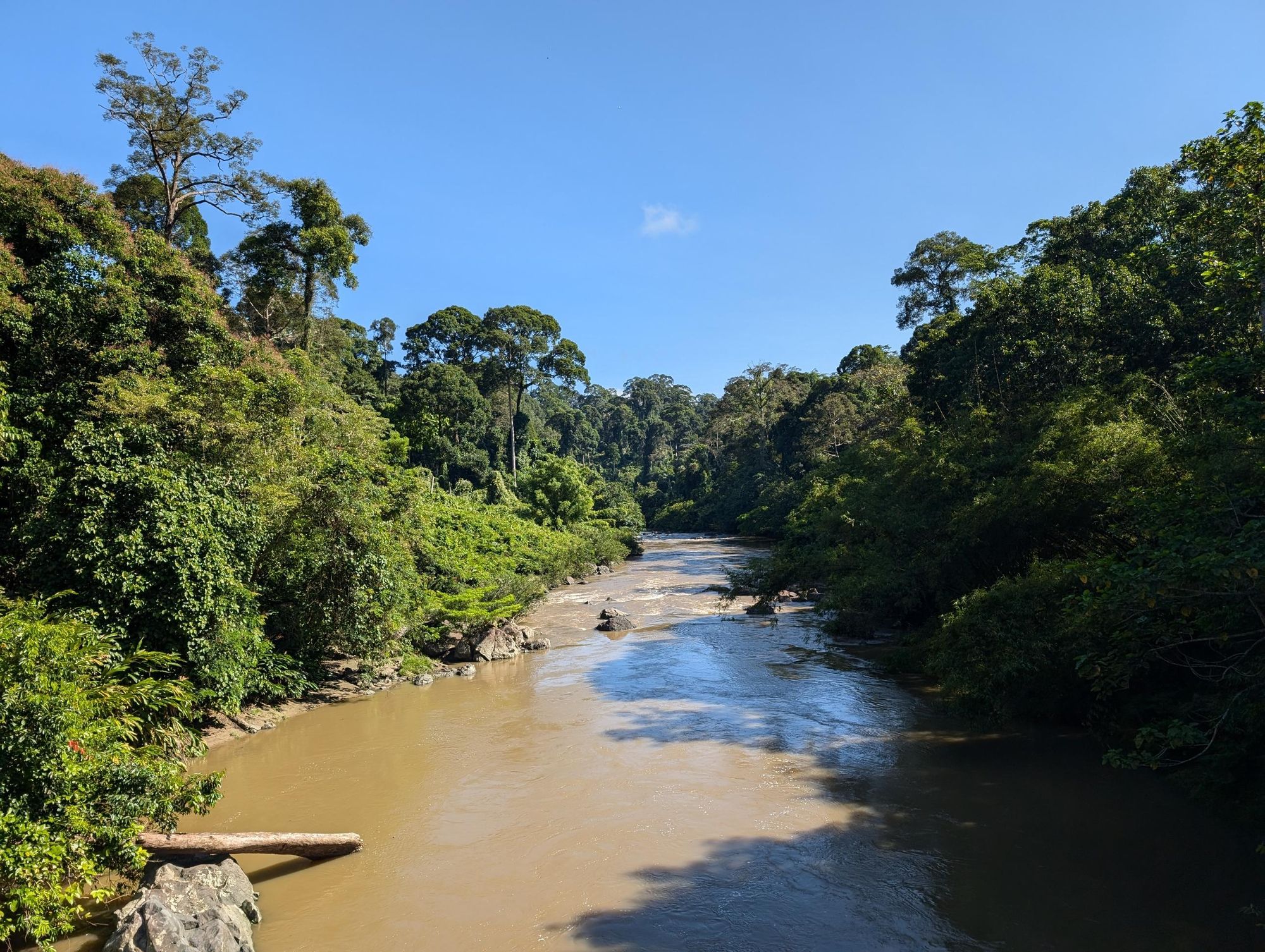 The Sagama River is the second longest river in Sabah, Borneo, behind only the Kinabatangan River. Photo: Stuart Kenny