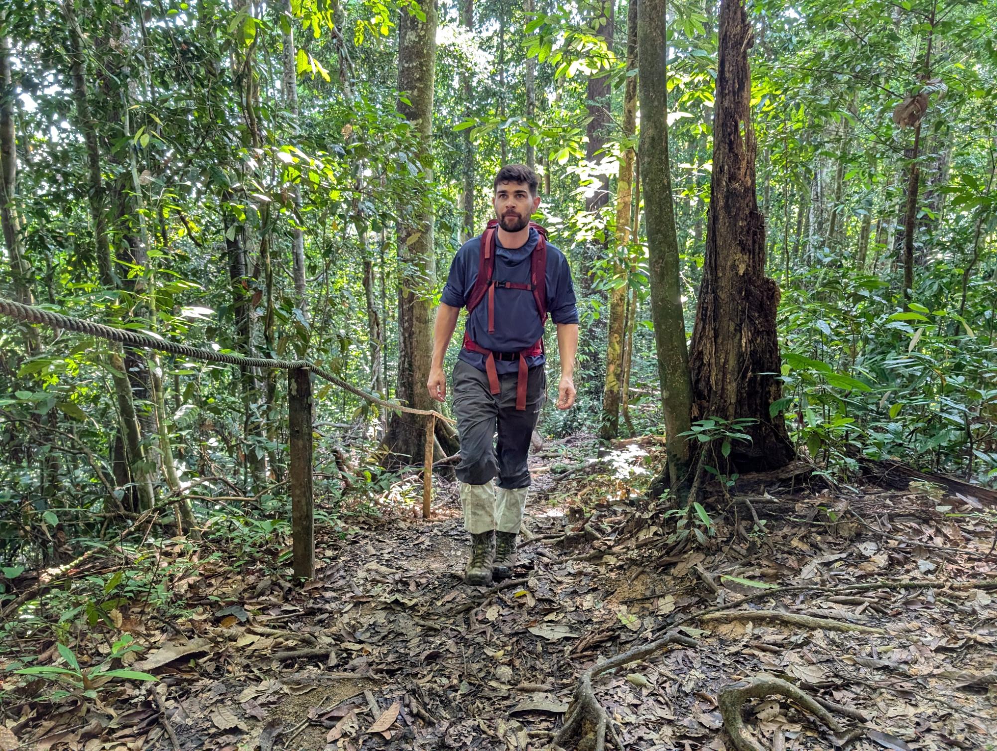 Pictured, the route to the Coffin Trail in the Danum Valley. The forests of Borneo are alive with life, even if there isn't an orangutan visible. Photo: Stuart Kenny