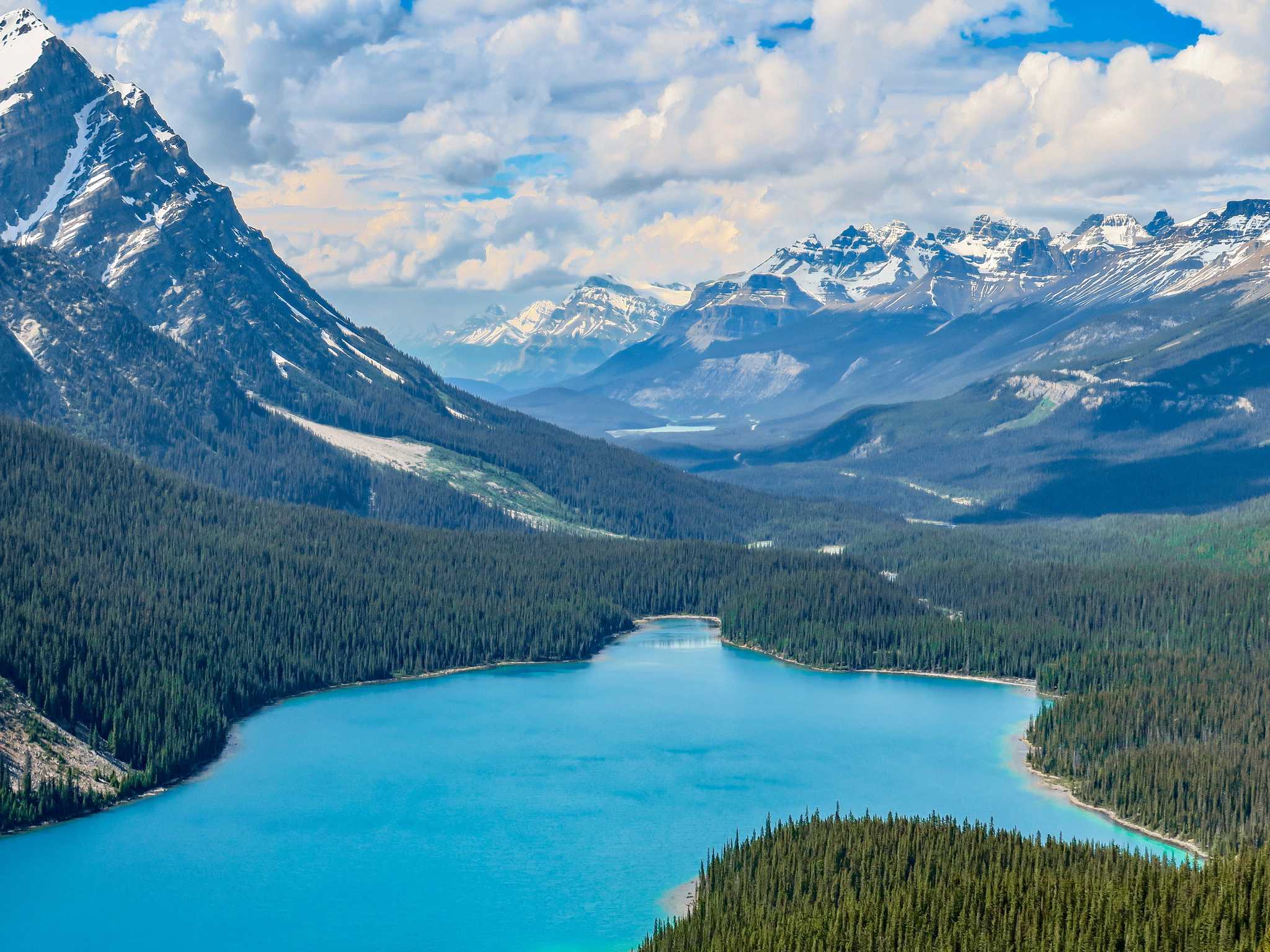 Peyto Lake in the Canadian Rockies. Photo: Getty.