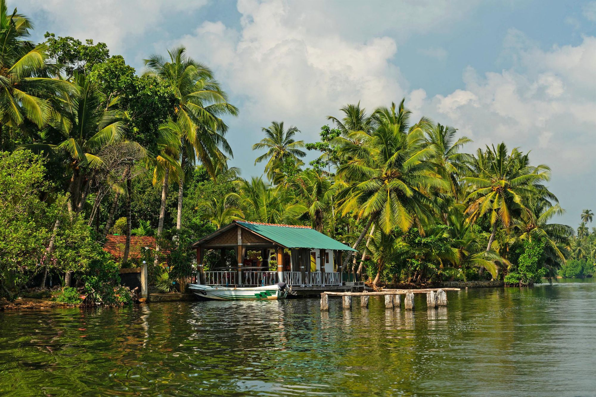 Green palms on Koggala lake, by a village in Sri Lanka. Photo: Getty