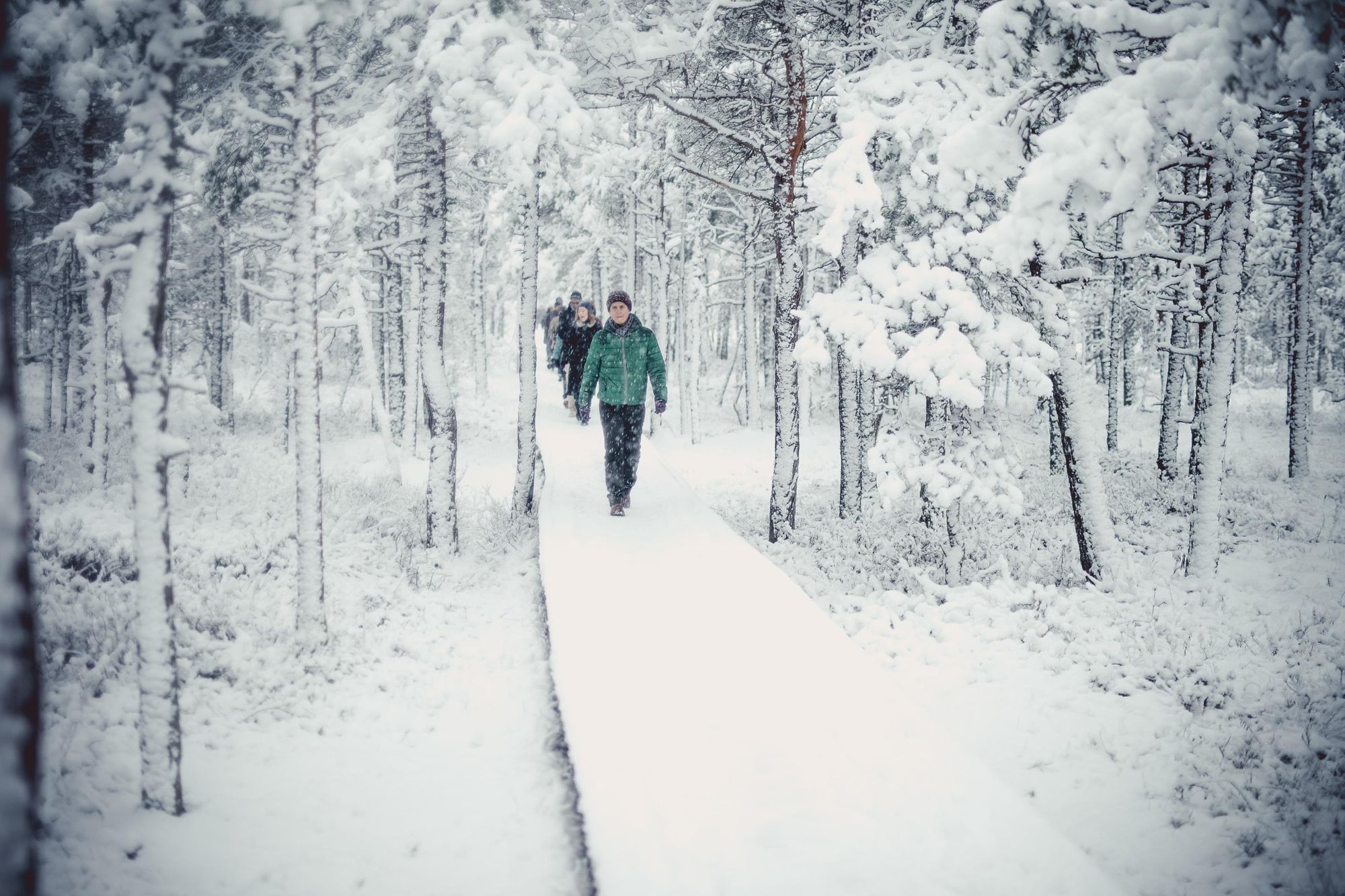 Hiking in Lahemaa Nationall Park. Photo: Mariann Liimal