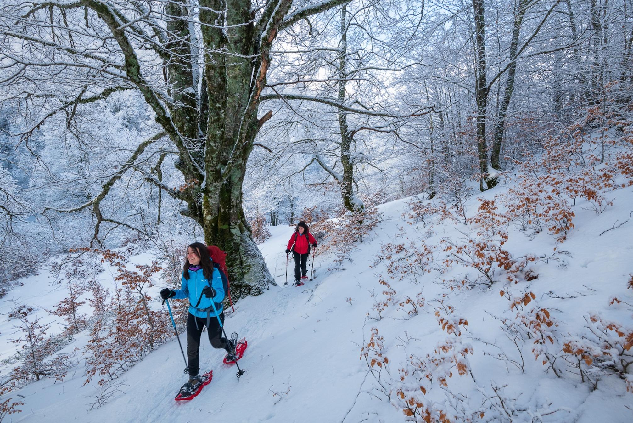 Hiking through woodland towards Monte Meta in the Abruzzo Mountains in winter. Photo: Wildlife Adventures.