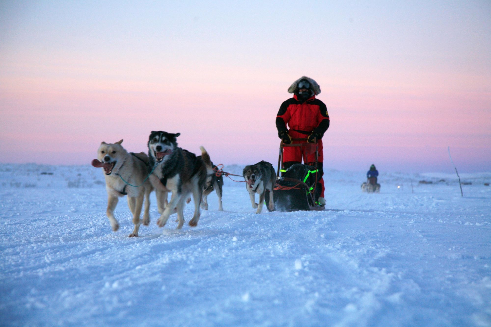 A man driving a husky sled at sunrise.