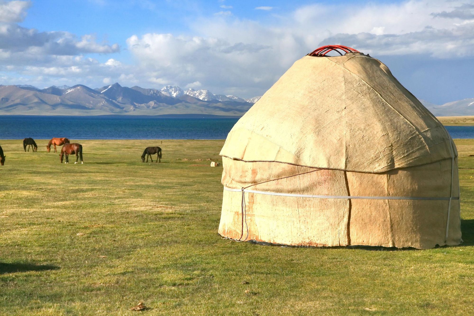 Horses grazing on the shores of Song Kul. Photo: Getty.