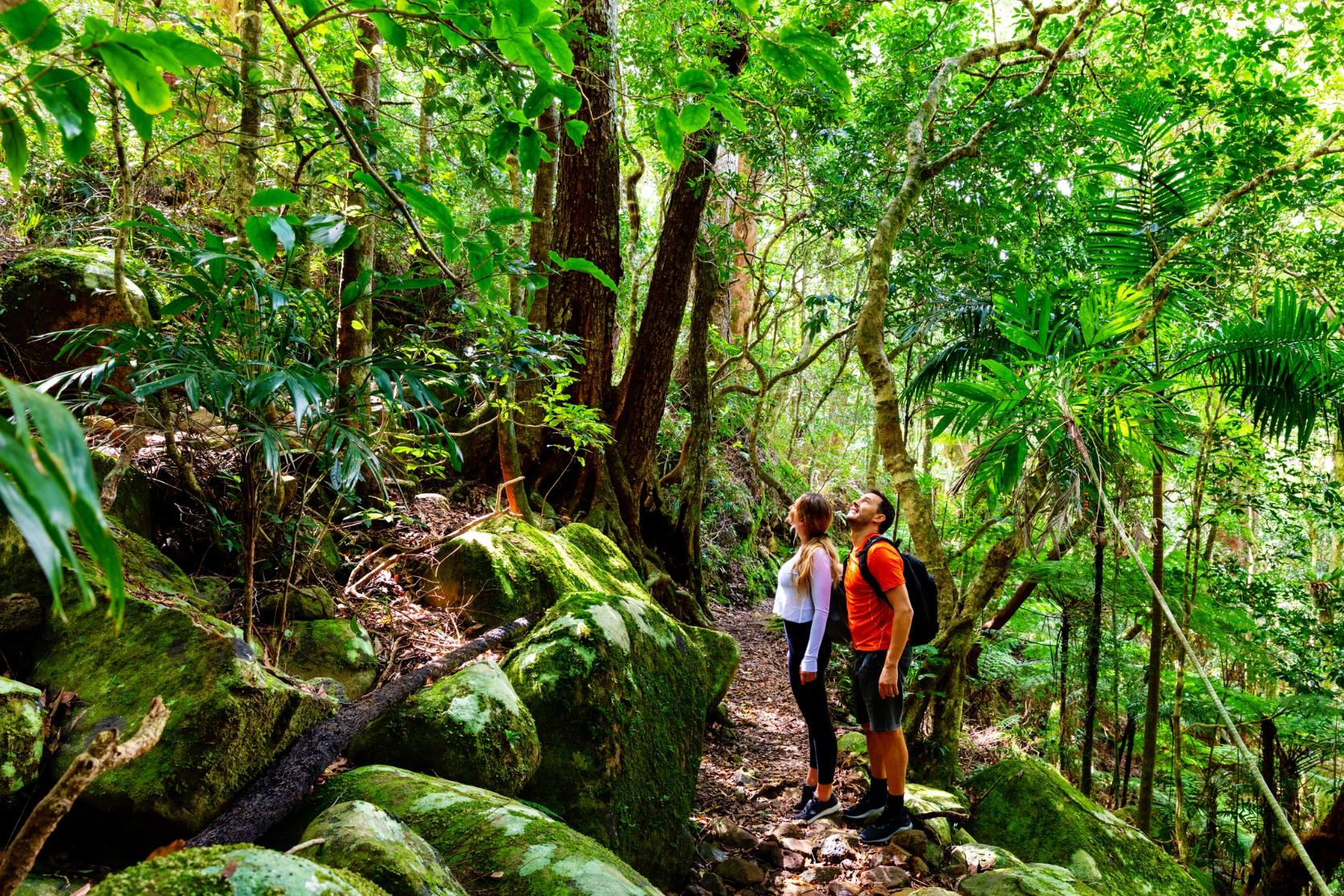 Trekking in Costa Rica. Photo: Getty.