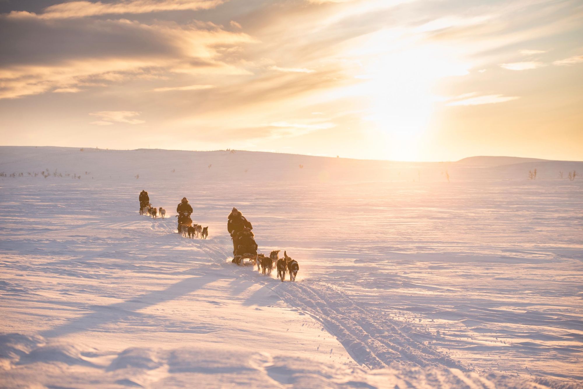 Snowsledding across Finnmarksvidda. Photo: Holmen Husky Lodge.