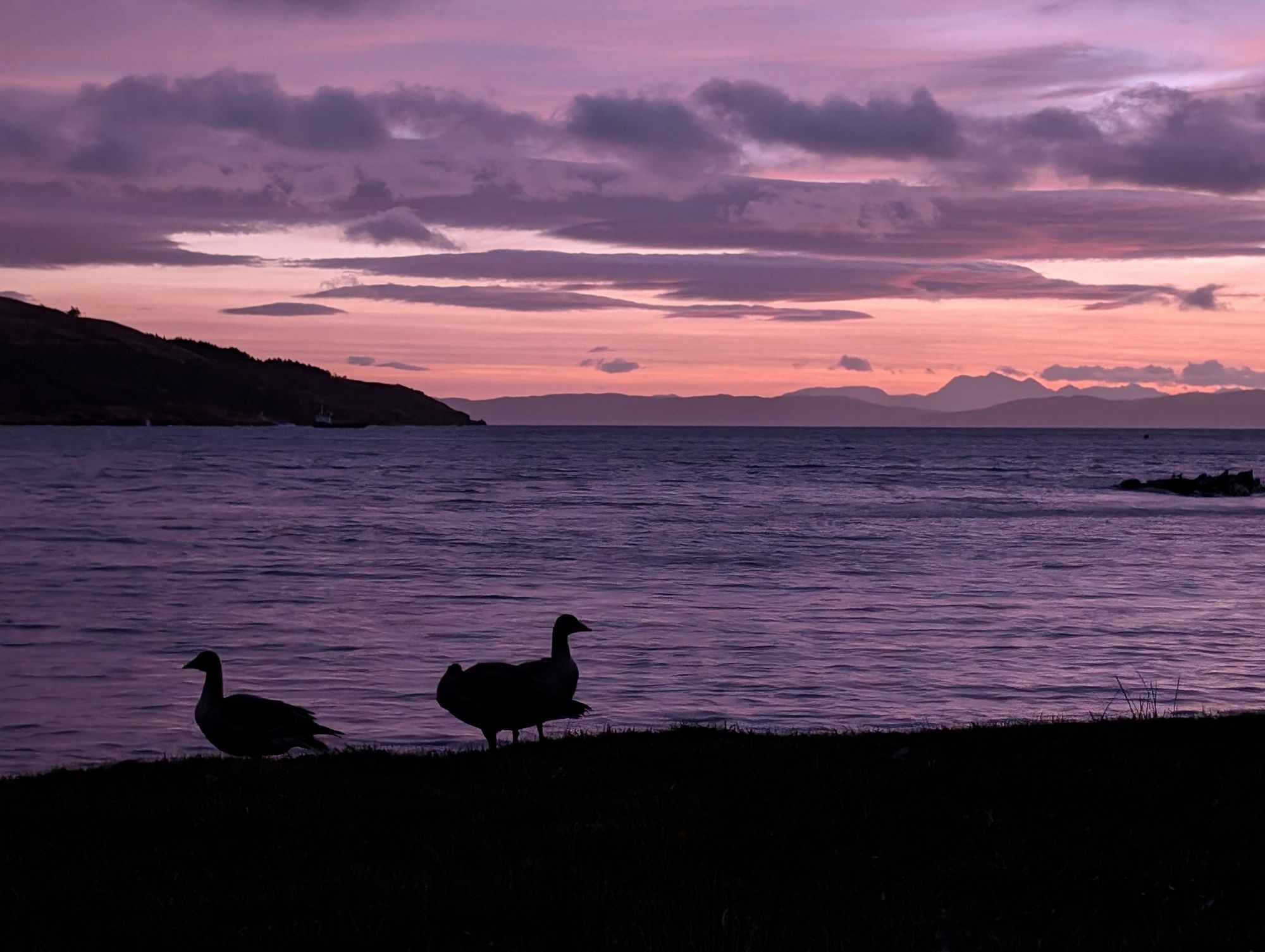 The morning light at Kinloch on the Isle of Rum. Photo: Stuart Kenny