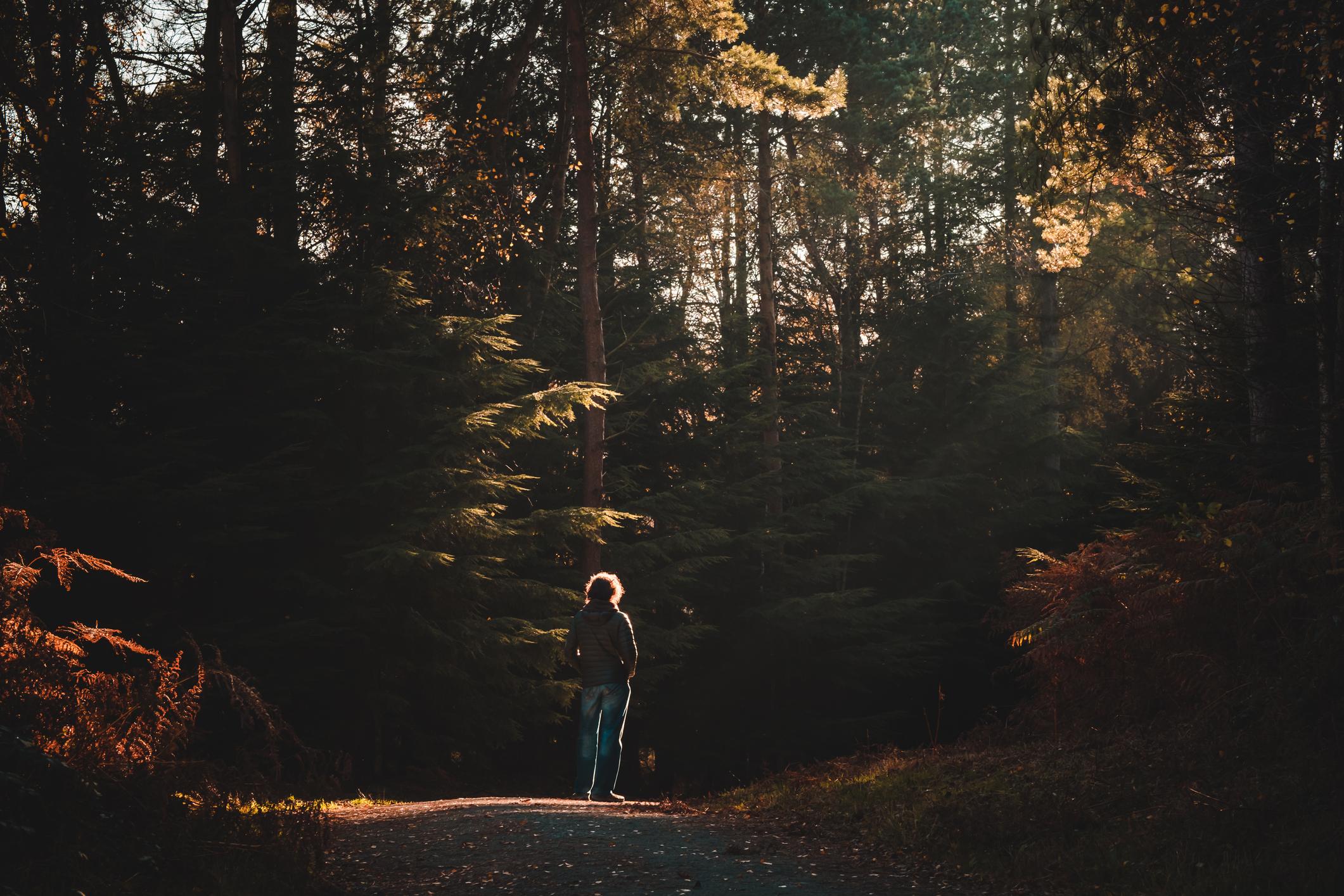 A man stands in a forest.