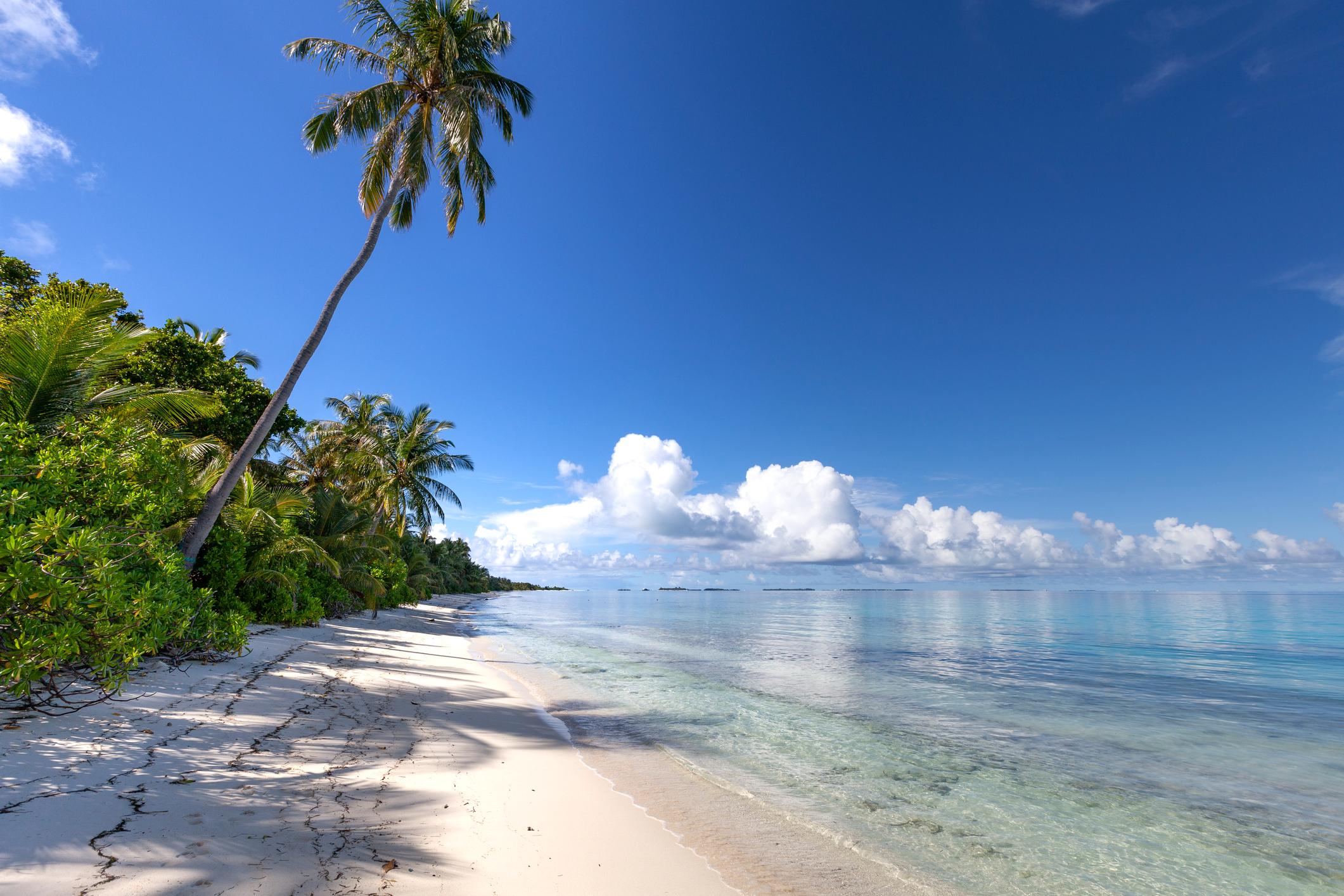 The Maldives are world famous for the mix of vibrant forest, white beaches and clear water, bustling with biodiversity. Photo: Getty