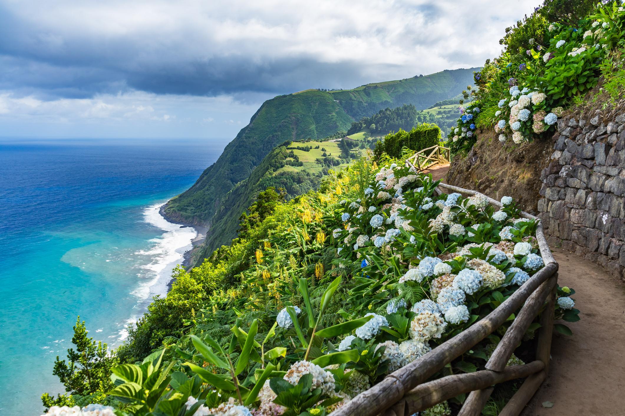 A coastal path lined with hydrangeas in São Miguel in the Azores. Photo: Getty