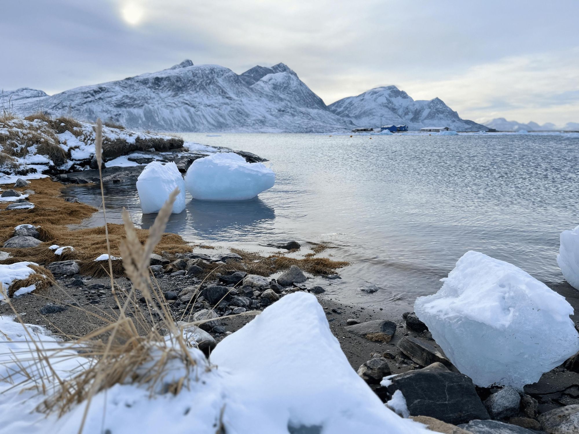 Ice blocks on the shores of Greenland. Photo: Thea de Gallier