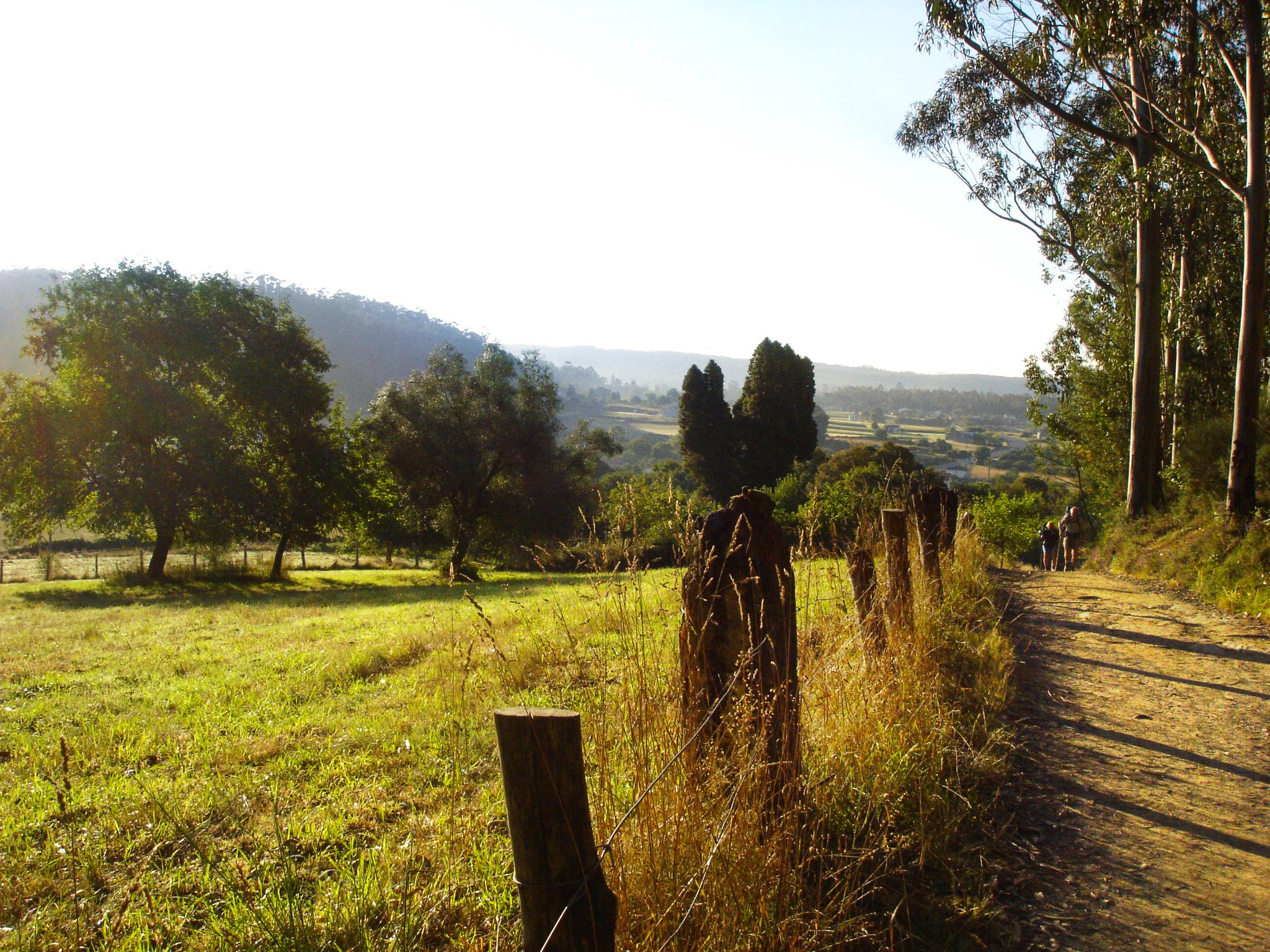 The Camino de Santiago, the Ancient Pilgrim Trails in Europe