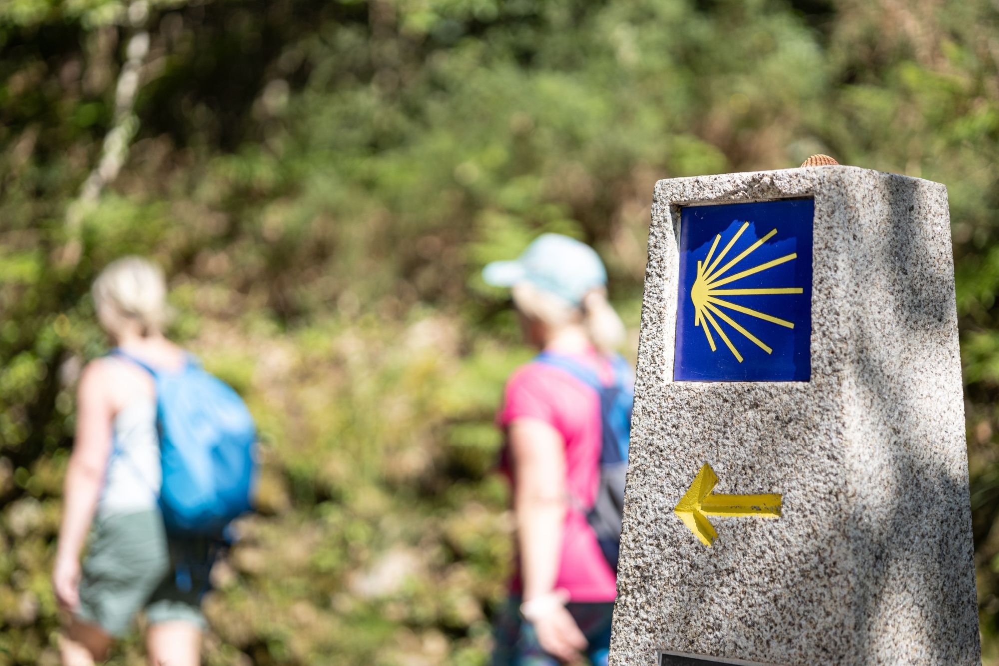 The Camino de Santiago, the Ancient Pilgrim Trails in Europe