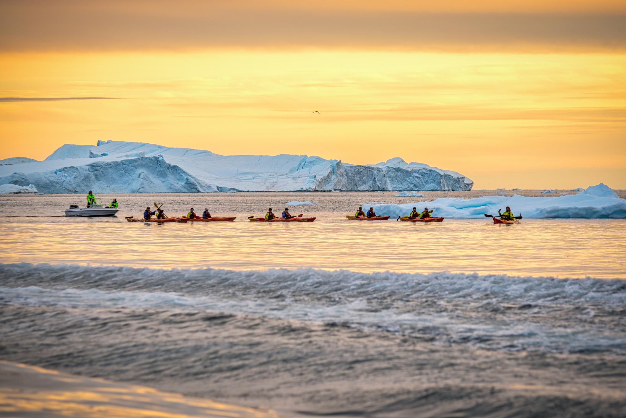 A group of kayakers explore the Ilulissat Icefjord in Greenland. Photo: Getty