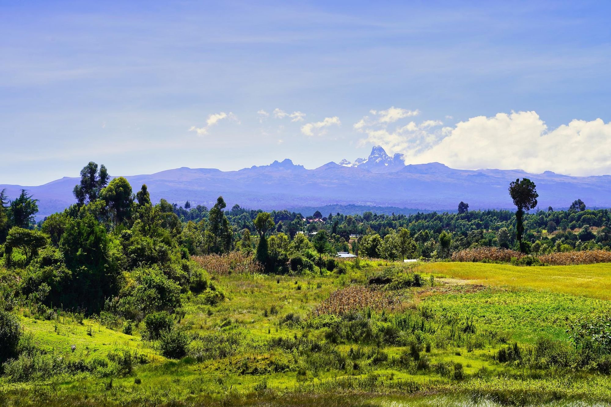 The P.O.Ws Who Escaped - Not to Freedom, But to Climb Mount Kenya