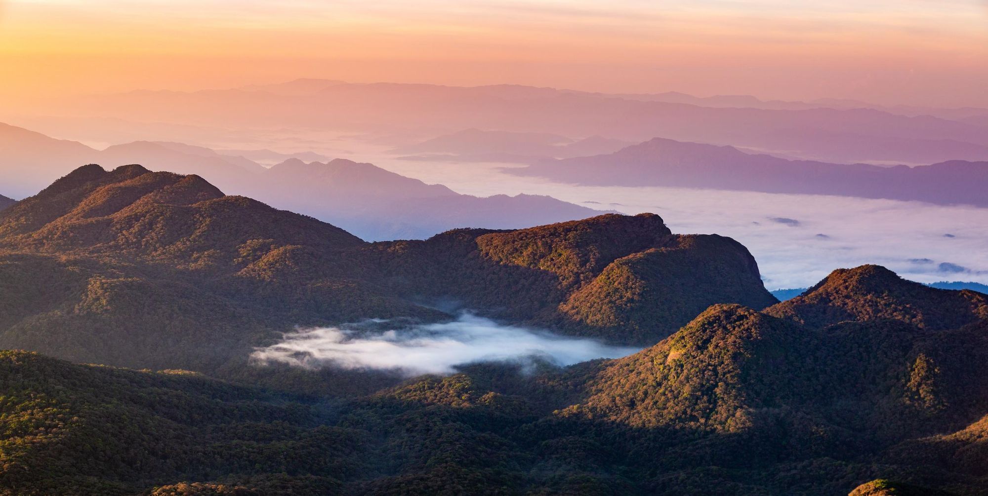 The view at sunrise from Adam's Peak. Photo: Getty.