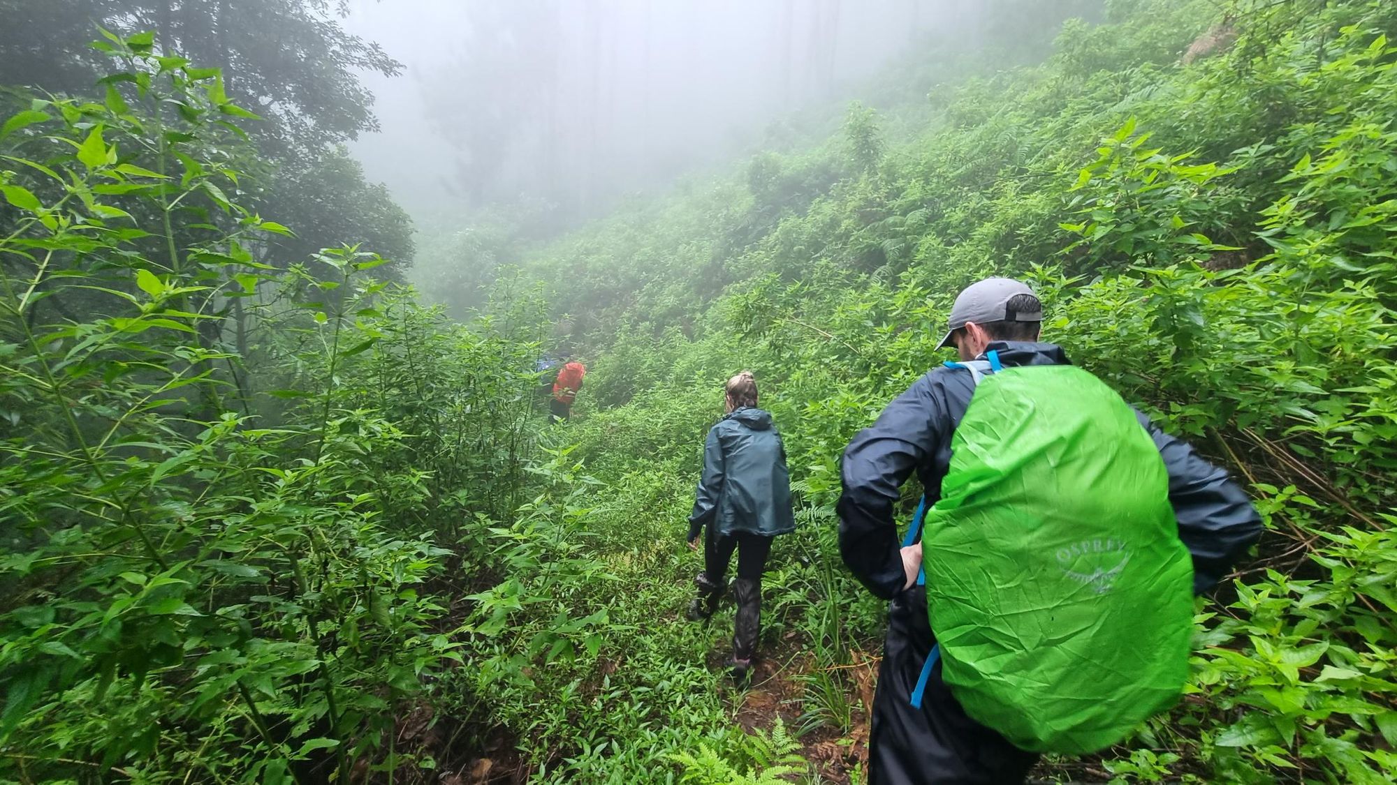 A rainy season hike in Sri Lanka. Photo: Best of Lanka.