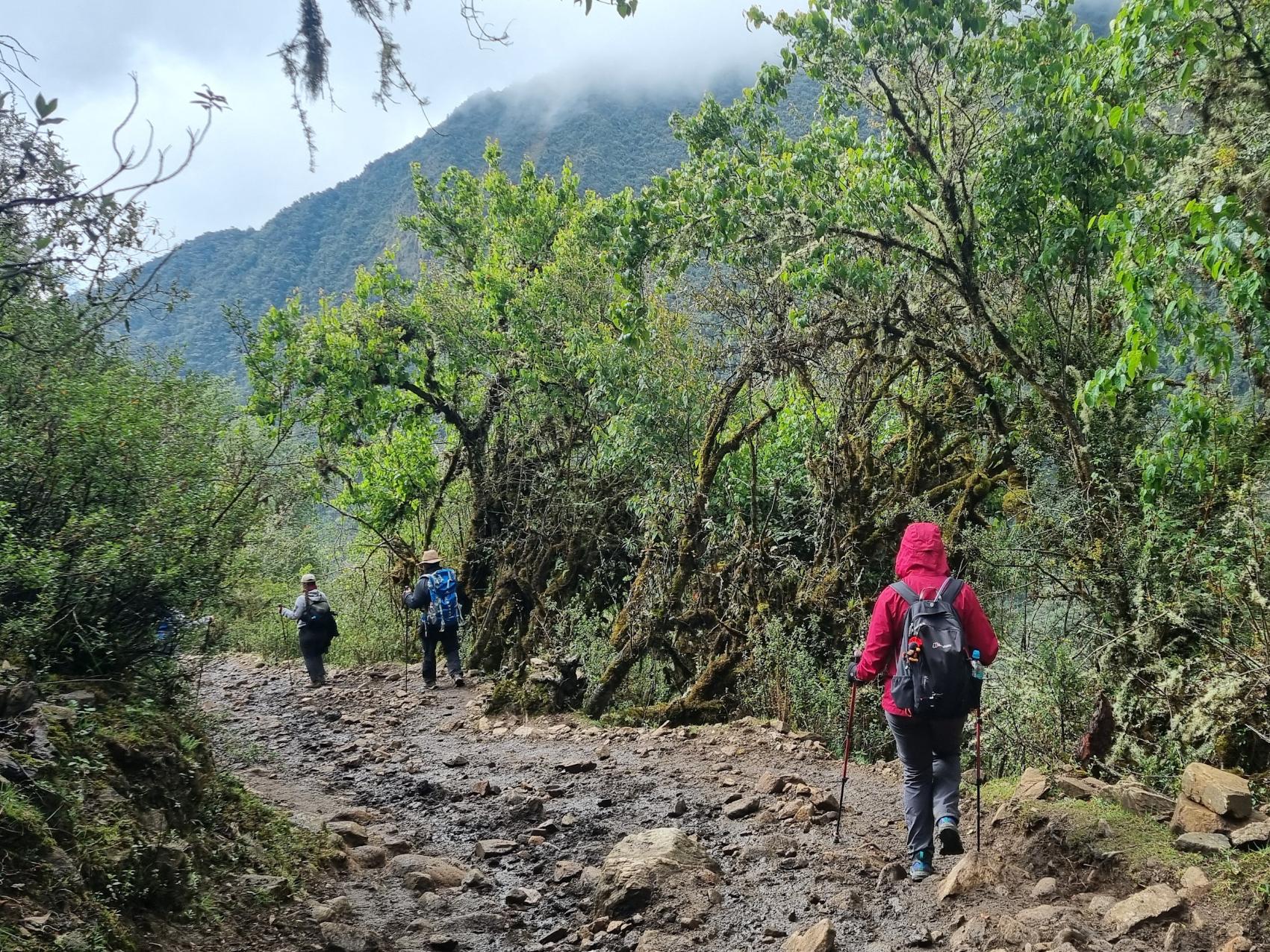 Hiking in Peru near Collapampa