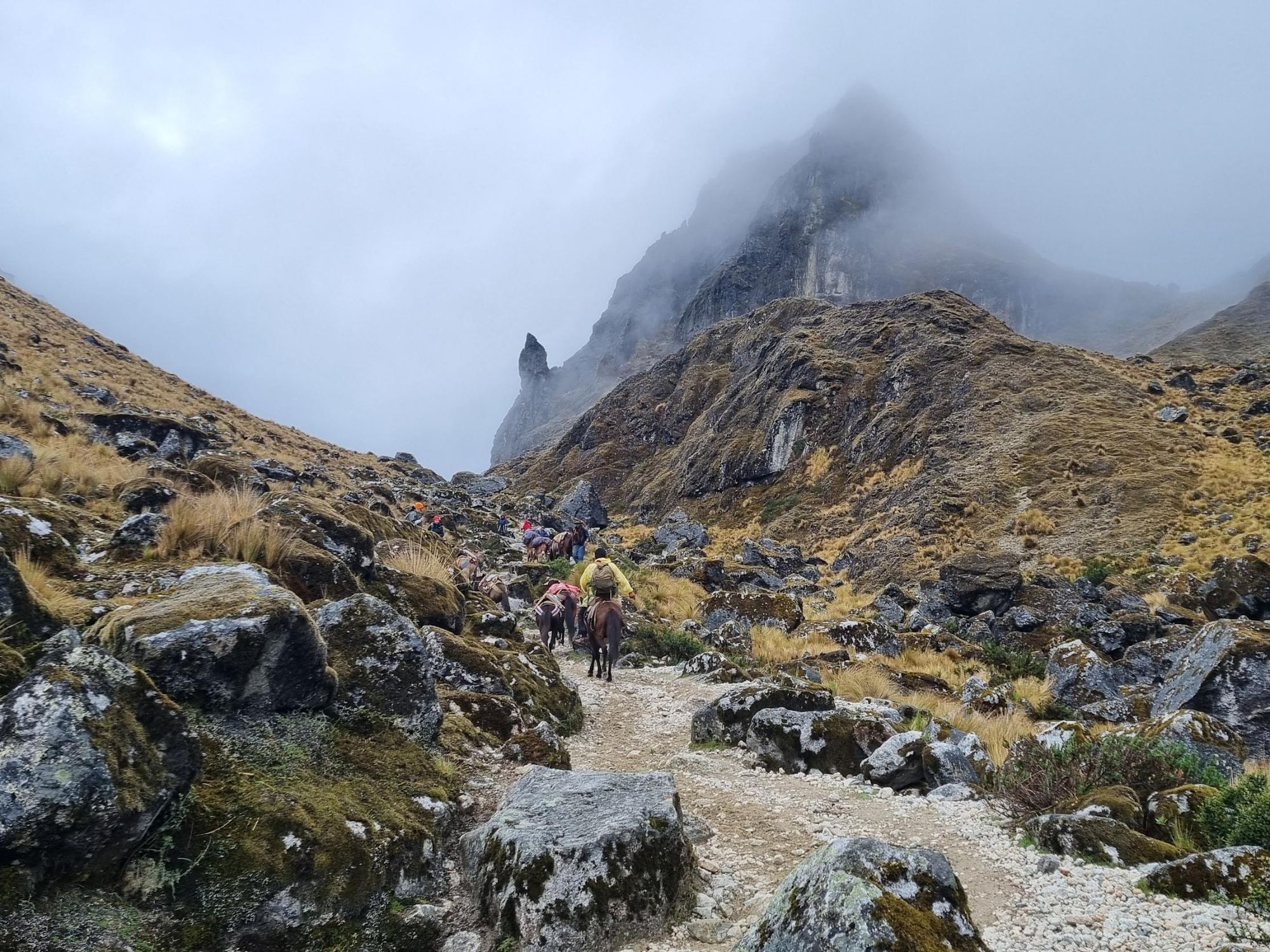 The trek to Salkantay Pass, the highest point of the Salkantay trek. Photo: Action Peru Treks.