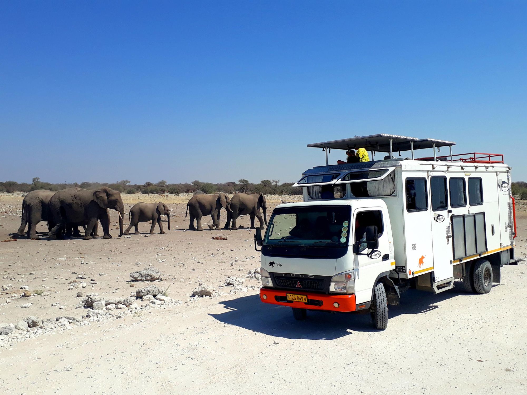 The support vehicle on Much Better Adventures' Namibia cycling trip - with bonus elephant content. Photo: Mabaruli.