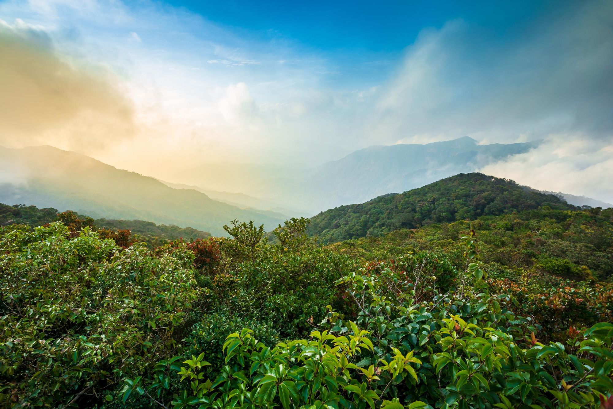 Khao Luang National Park. Photo: Getty.