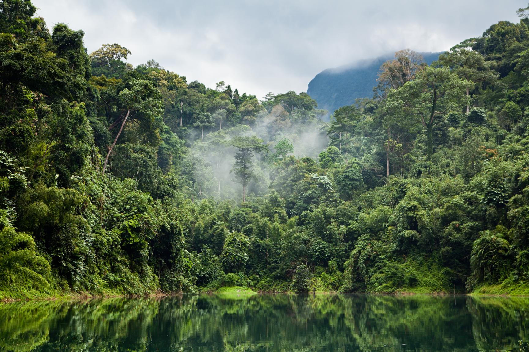 The misty rainforest of Khao Sok. Photo: Getty.