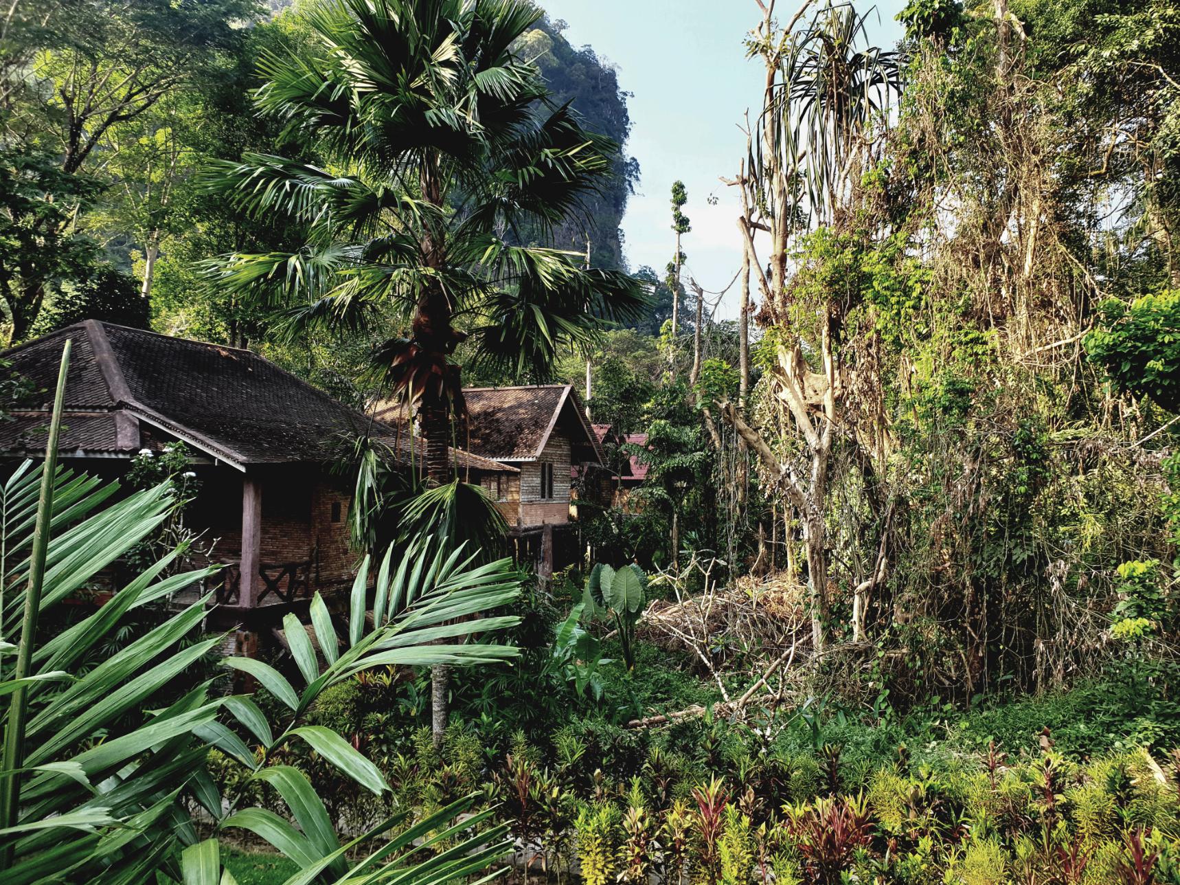 A treehouse hotel in Khao Sok Village. Photo: Getty.