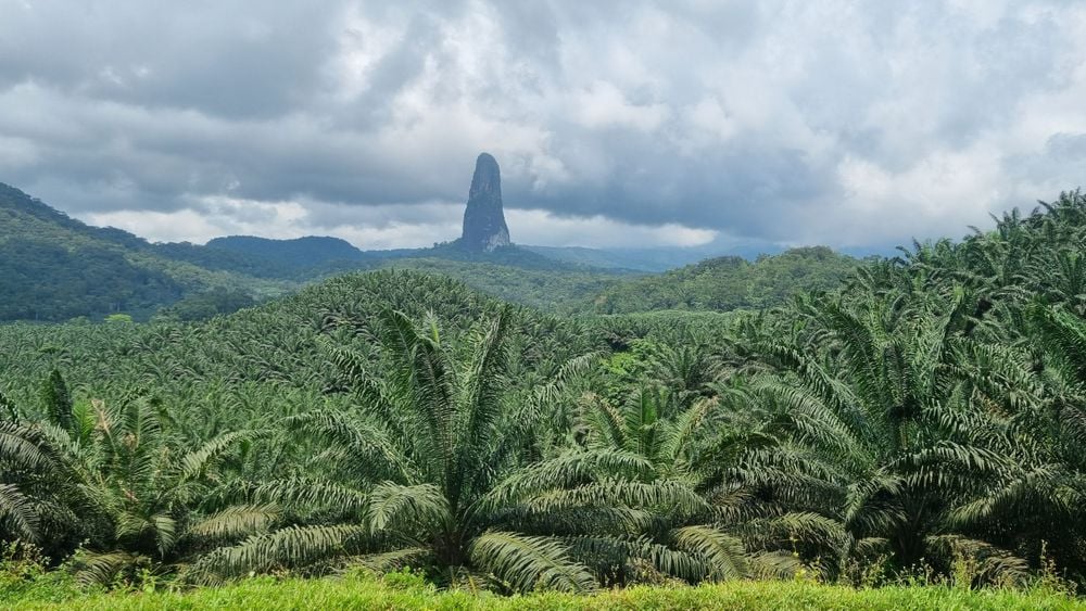 10 Reasons To Visit the Unexplored Islands of São Tomé and Príncipe