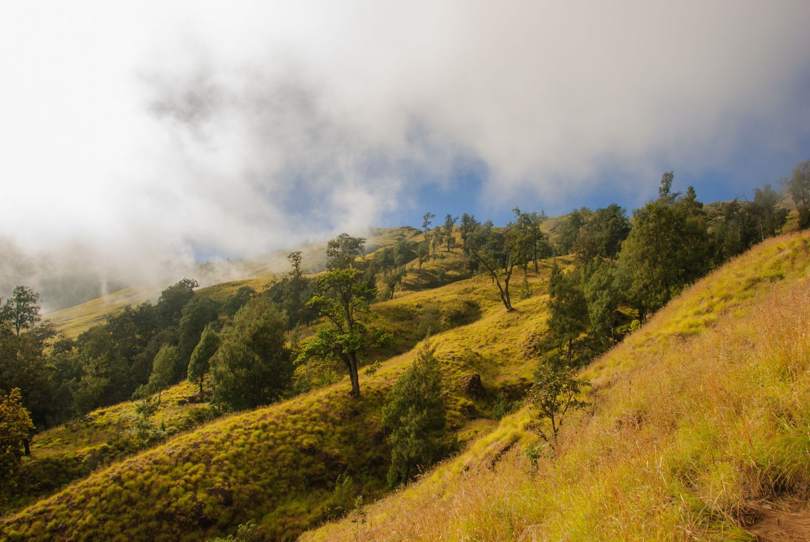 A Guide to Climbing Mount Rinjani