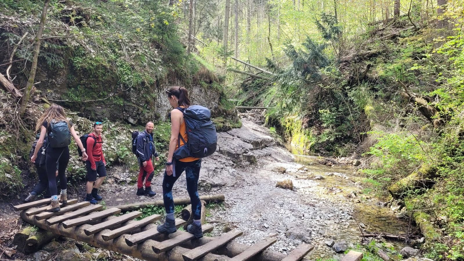 Mountains, Ladders and Gorges: The Thrill of Hiking in Slovakia