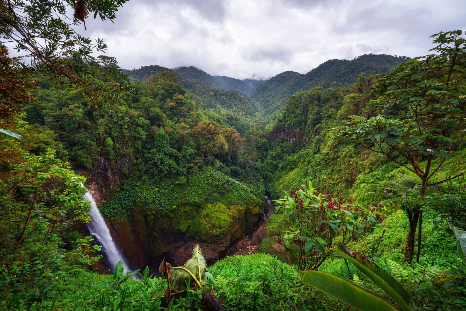 A Complete Guide to Costa Rica's Rainforests