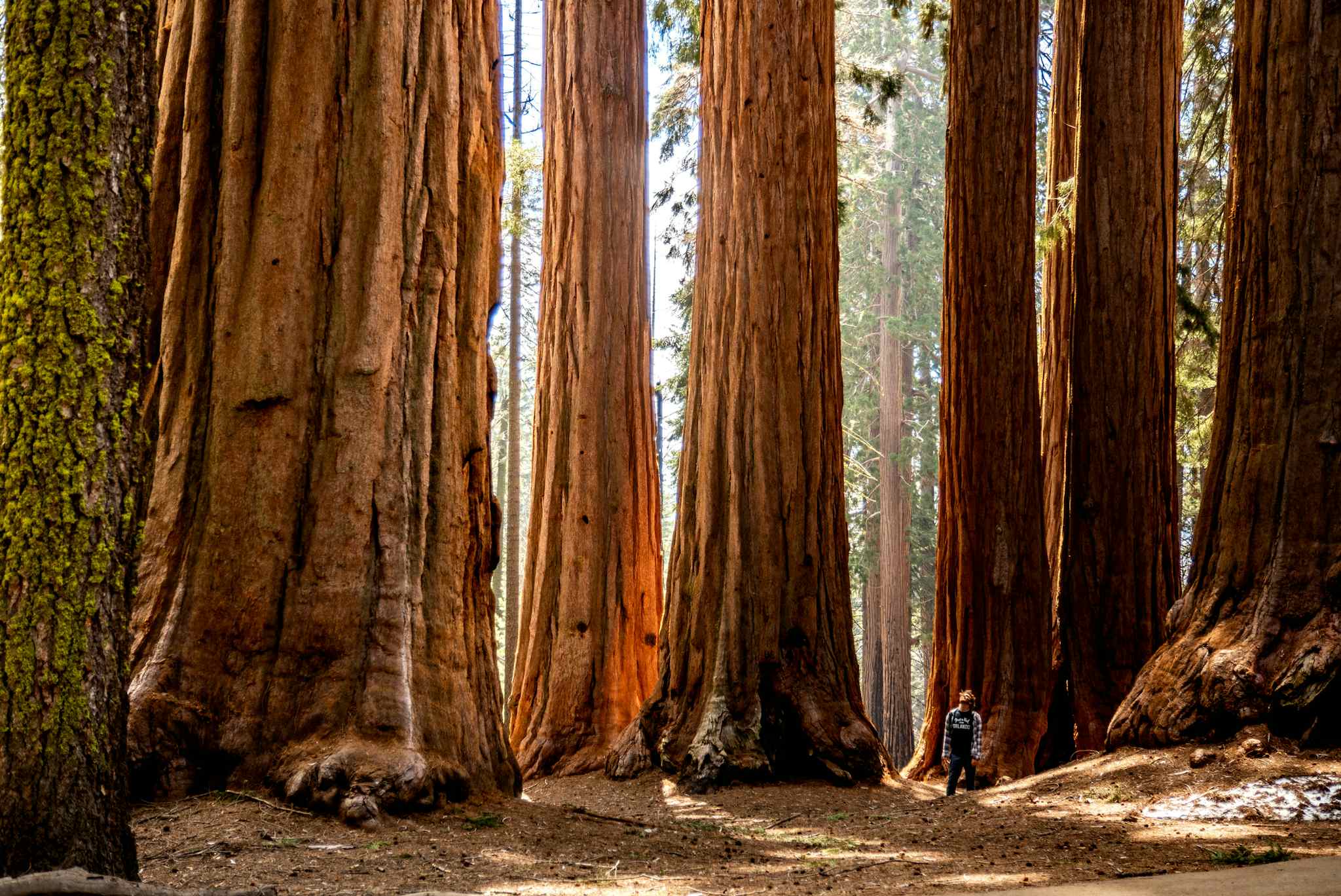 10 of the Best Hikes in Sequoia and Kings Canyon National Parks