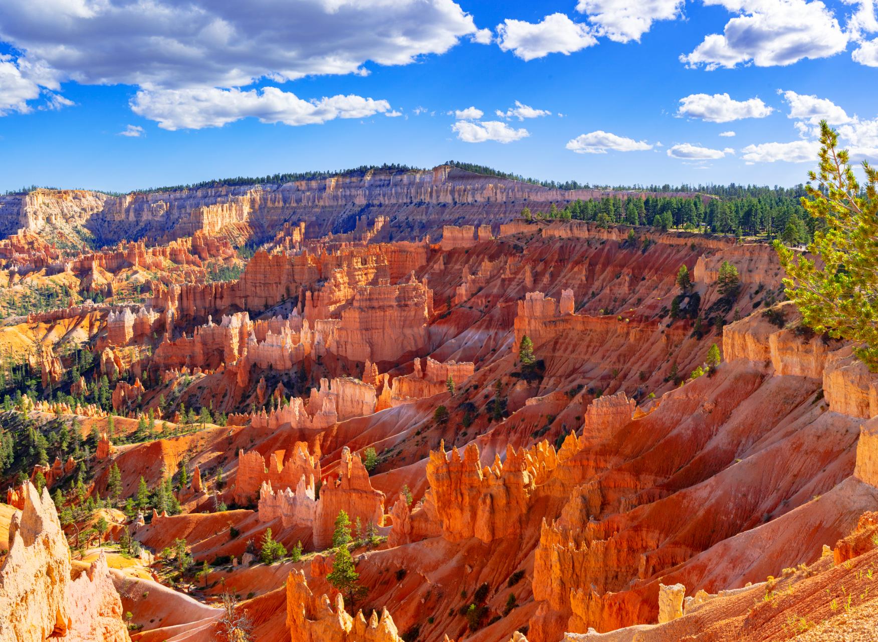 5 of the Best Hikes in Bryce Canyon National Park