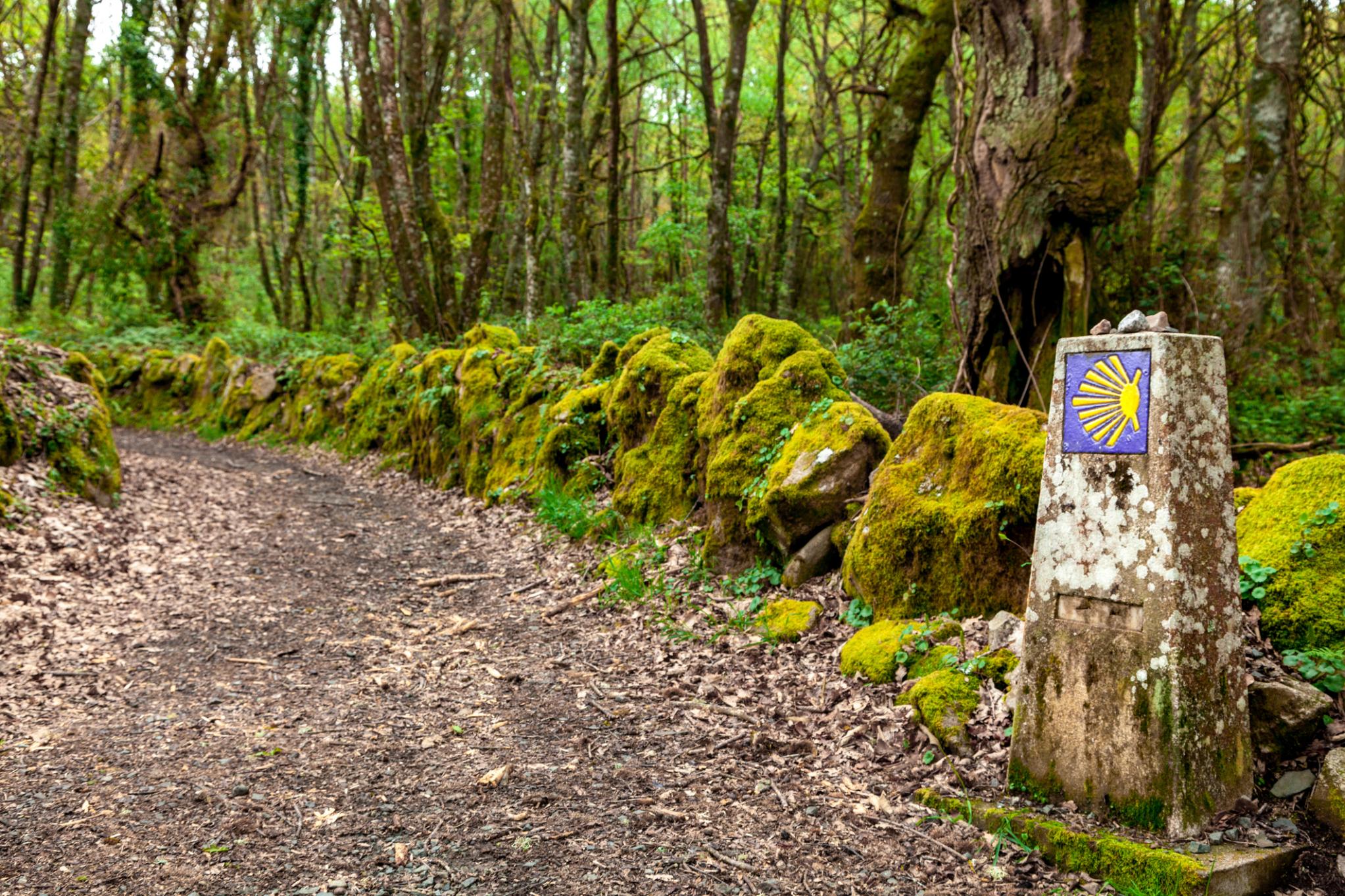 The Camino de Santiago, the Ancient Pilgrim Trails in Europe