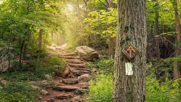 de opmerkelijke markeringen van de Appalachian Trail zullen u de hele weg op de route leiden. Foto: Getty