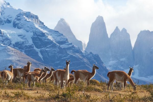 10 of the Best Long-Distance Hikes in the Andes