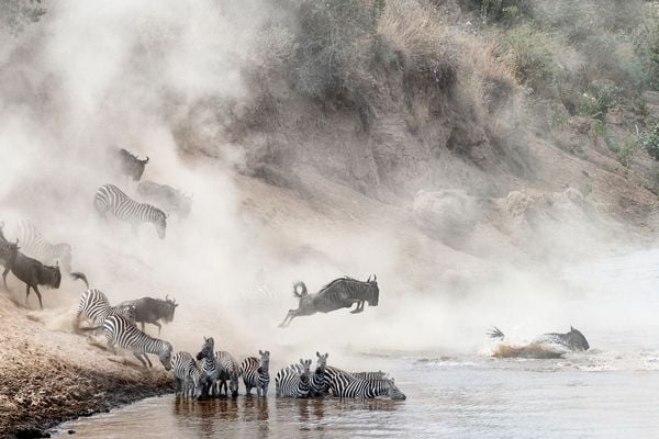 The 7 Best Places to Go on Safari in Tanzania