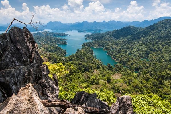 A Guide to Khao Sok National Park, Thailand's Ancient Rainforest